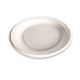 PLATO 7,0 (17 CMS) DPS 1 X 500